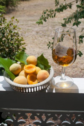 Whiskey Gully Wines